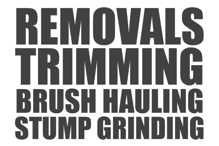 Tree removals, trimming, brush hauling, and stump grinding